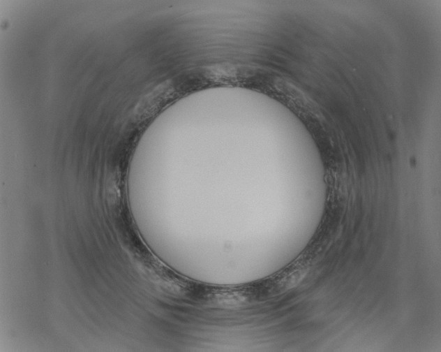 X0000077400702200611101820