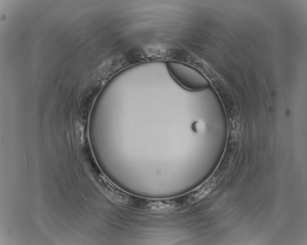 X0000077400703200611101820