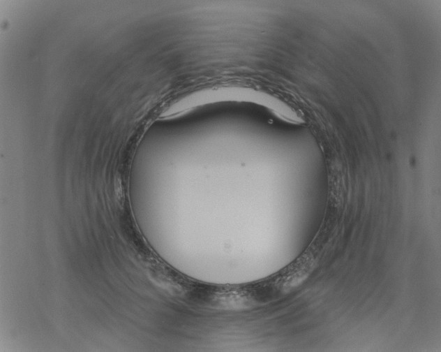 X0000077400704200611101820