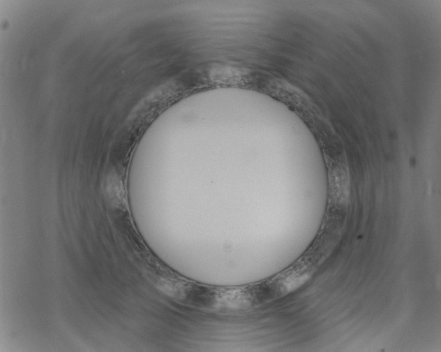 X0000077400705200611101820