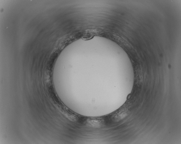 X0000077400706200611101820