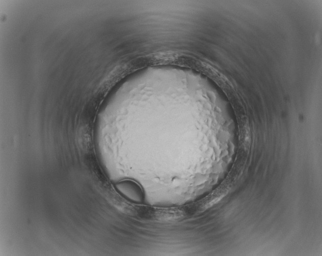 X0000077400707200611101820