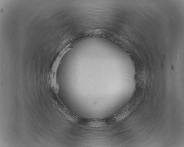 X0000077400708200611101820