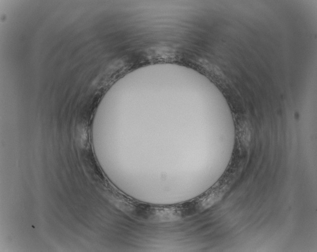 X0000077400709200611101820