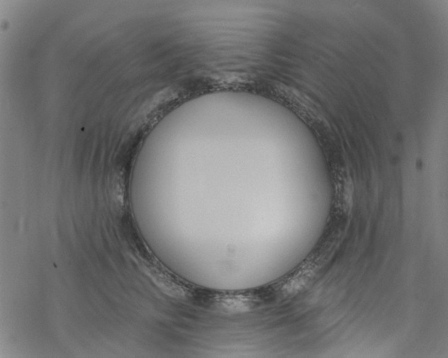 X0000077400710200611101820