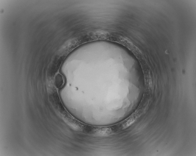 X0000077400711200611101820