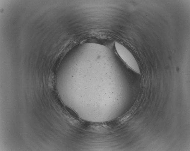 X0000077400712200611101820