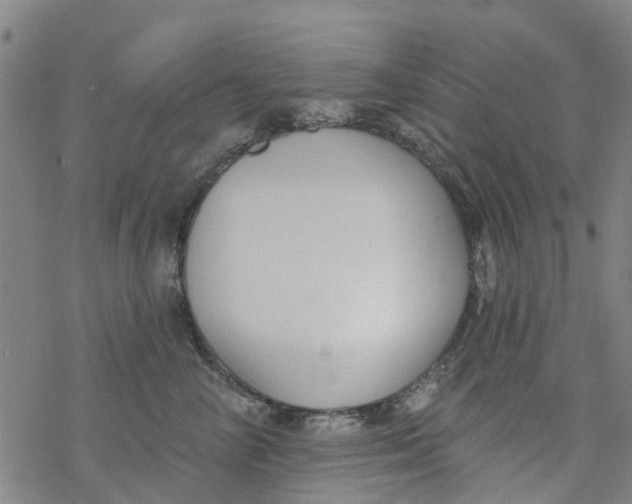 X0000077400714200611101820