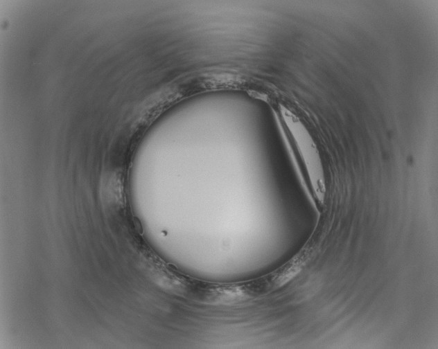 X0000077400715200611101820