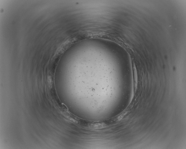 X0000077400716200611101820