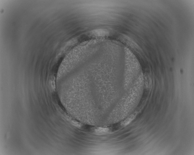 X0000077400718200611101820