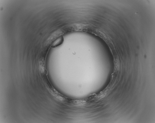 X0000077400719200611101820