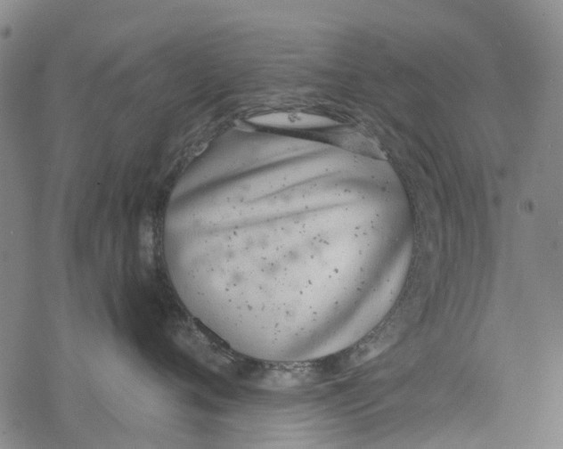 X0000077400720200611101820