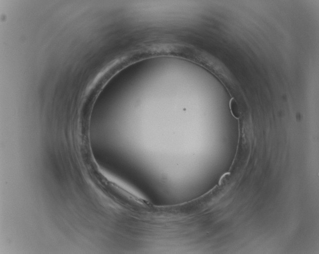 X0000077400722200611101819