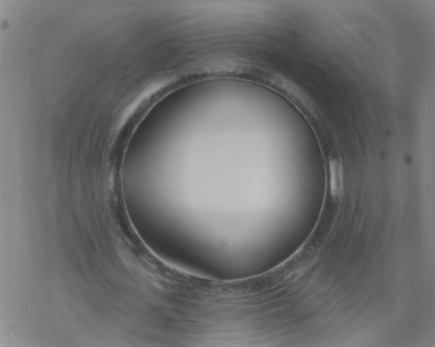 X0000077400723200611101819