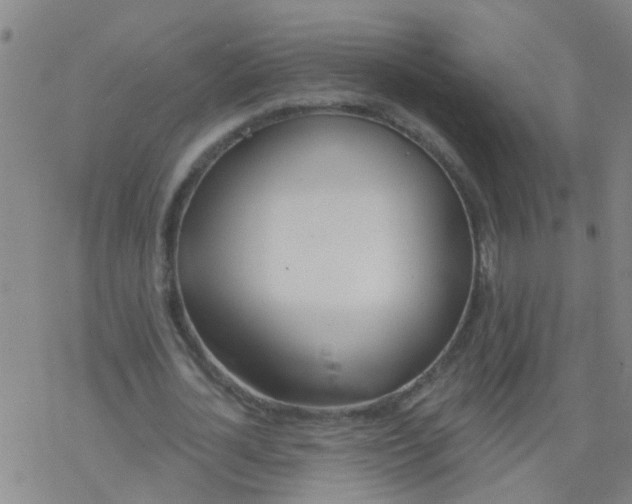 X0000077400724200611101819