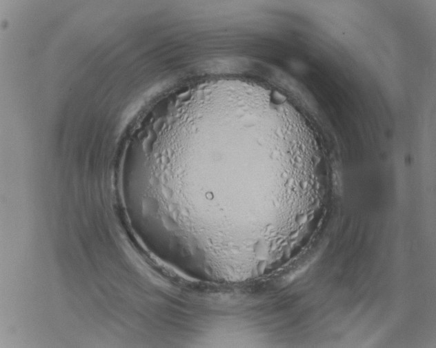 X0000077400725200611101819