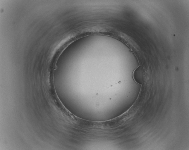 X0000077400727200611101819