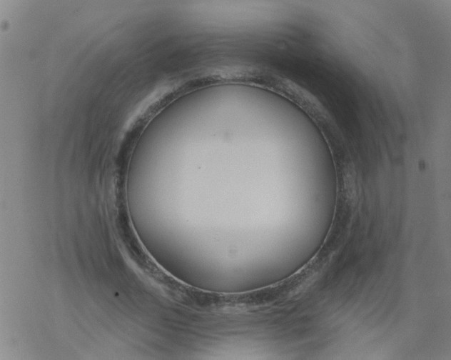 X0000077400730200611101819