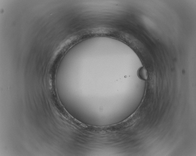 X0000077400731200611101819