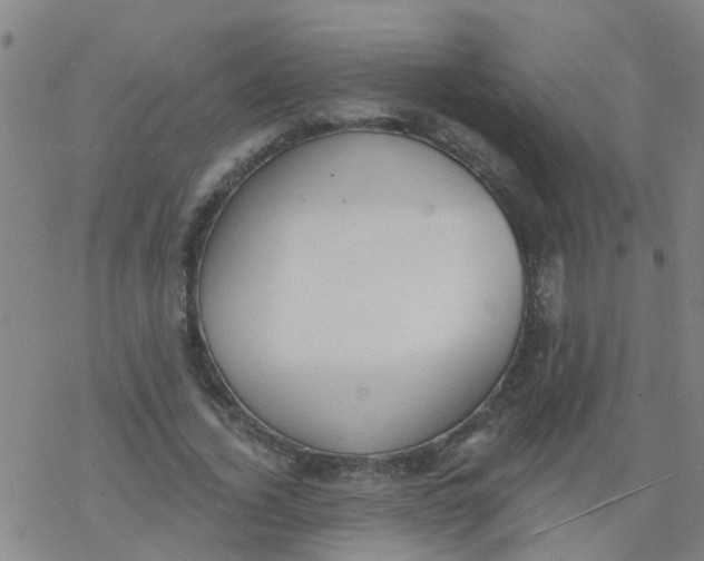 X0000077400732200611101819