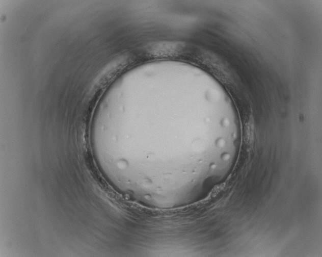 X0000077400733200611101819