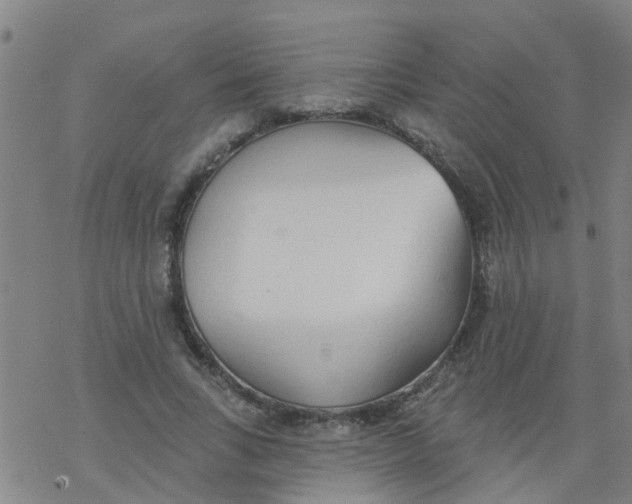 X0000077400735200611101819