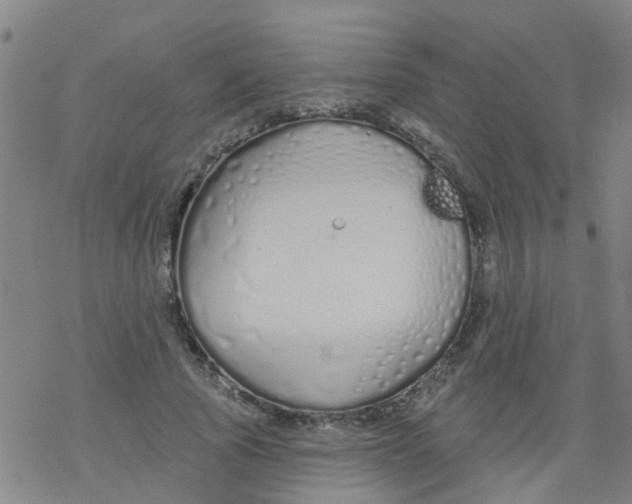 X0000077400737200611101819