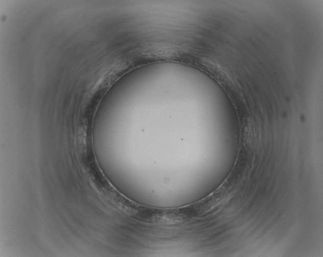 X0000077400739200611101819