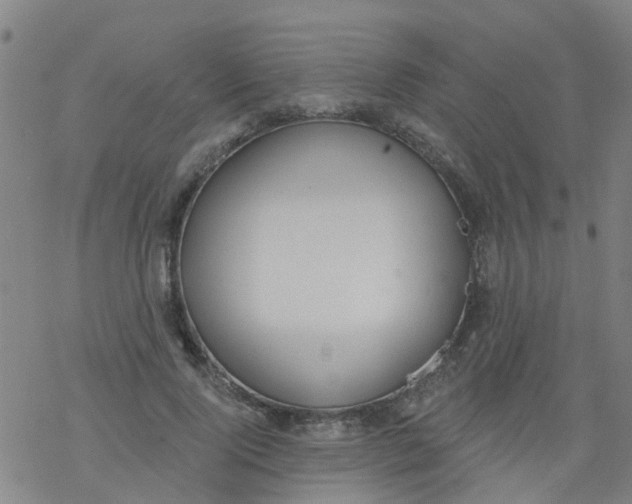 X0000077400740200611101819