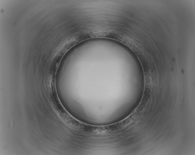 X0000077400742200611101819