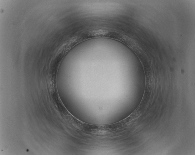 X0000077400743200611101819