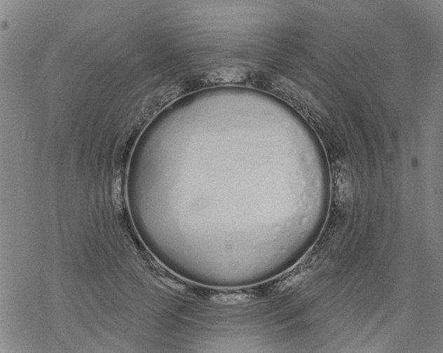 X0000077400745200611101819