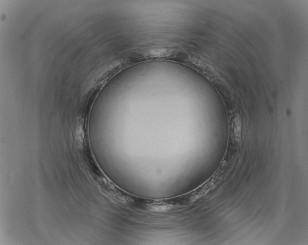 X0000077400746200611101820