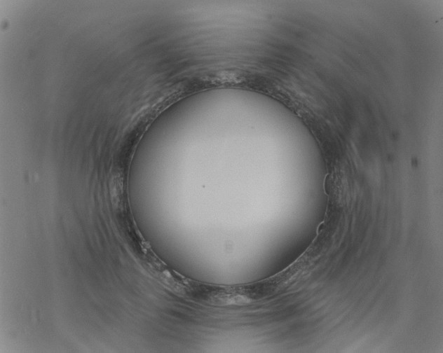 X0000077400747200611101820