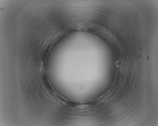 X0000077400748200611101820