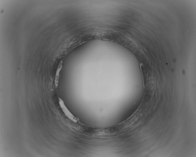 X0000077400750200611101820