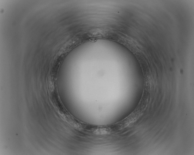 X0000077400751200611101820