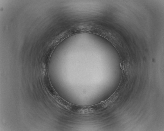 X0000077400752200611101820