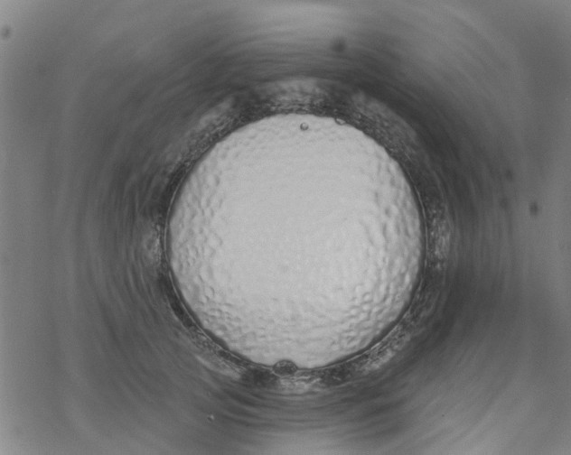 X0000077400753200611101820