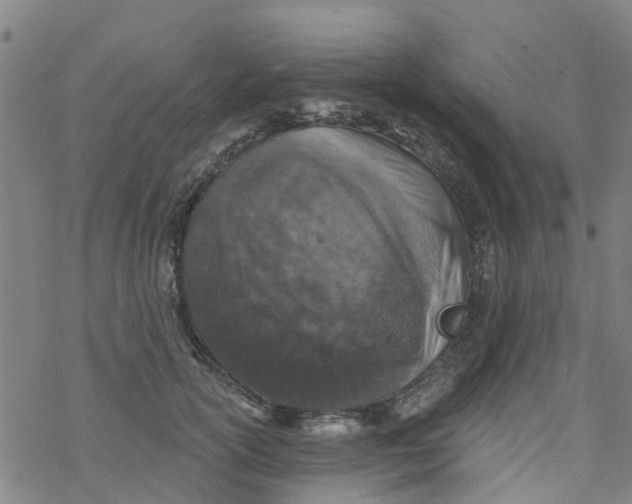 X0000077400754200611101820