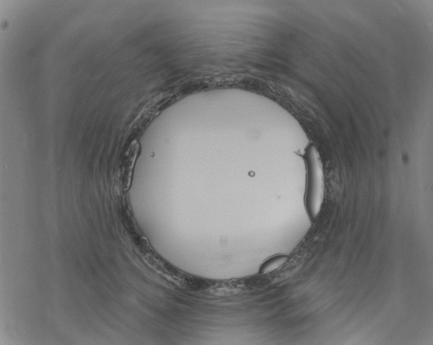 X0000077400756200611101820