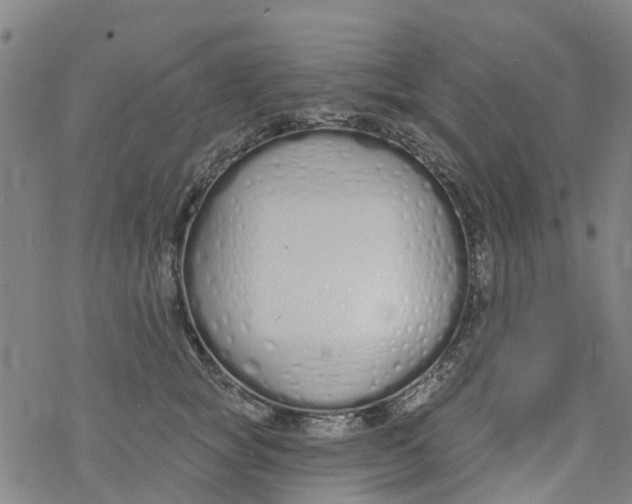 X0000077400757200611101820