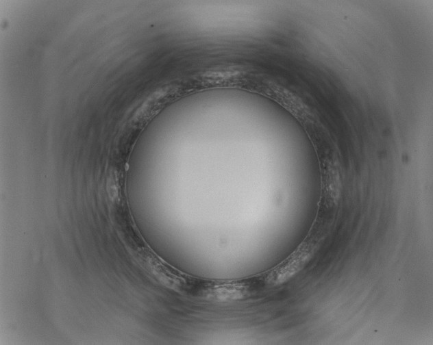 X0000077400758200611101820