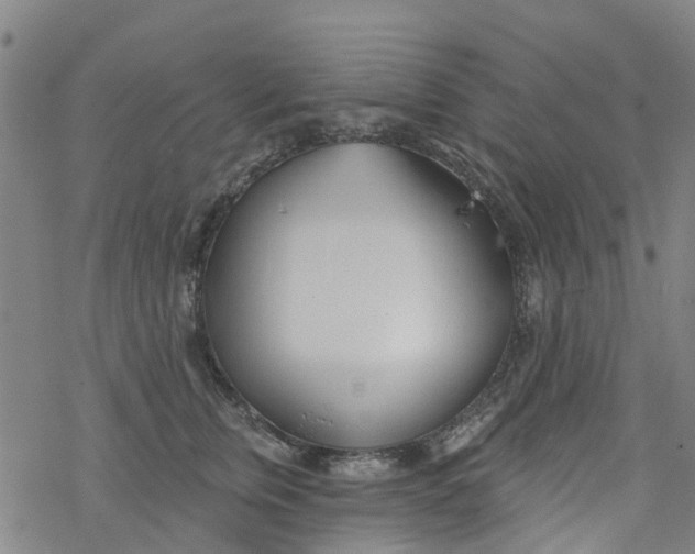 X0000077400759200611101820