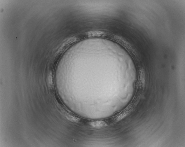 X0000077400761200611101820