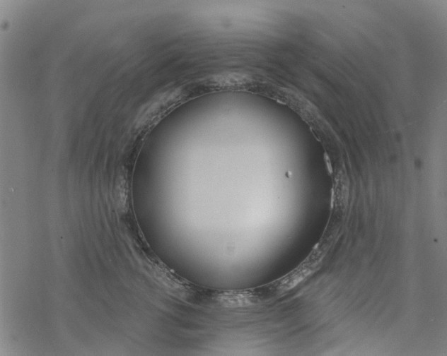 X0000077400762200611101820