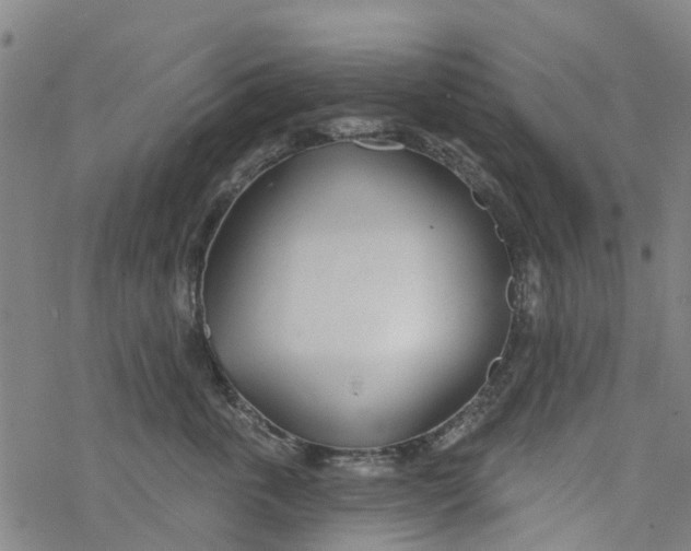 X0000077400763200611101820