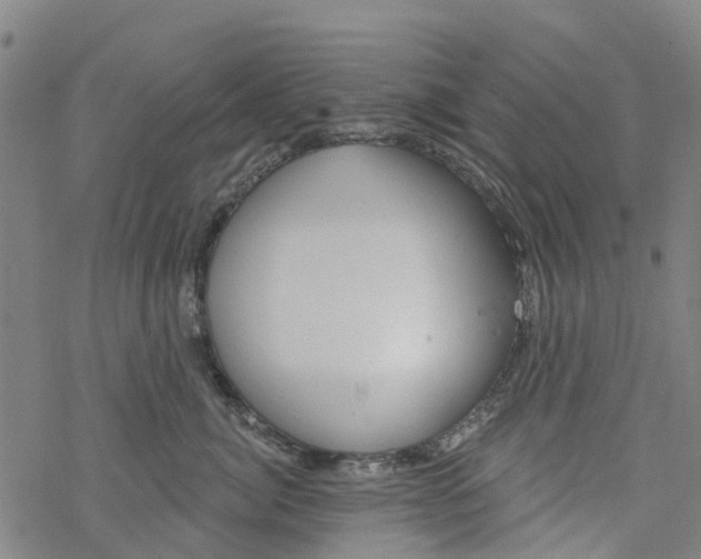 X0000077400764200611101820