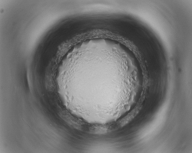 X0000077400765200611101820